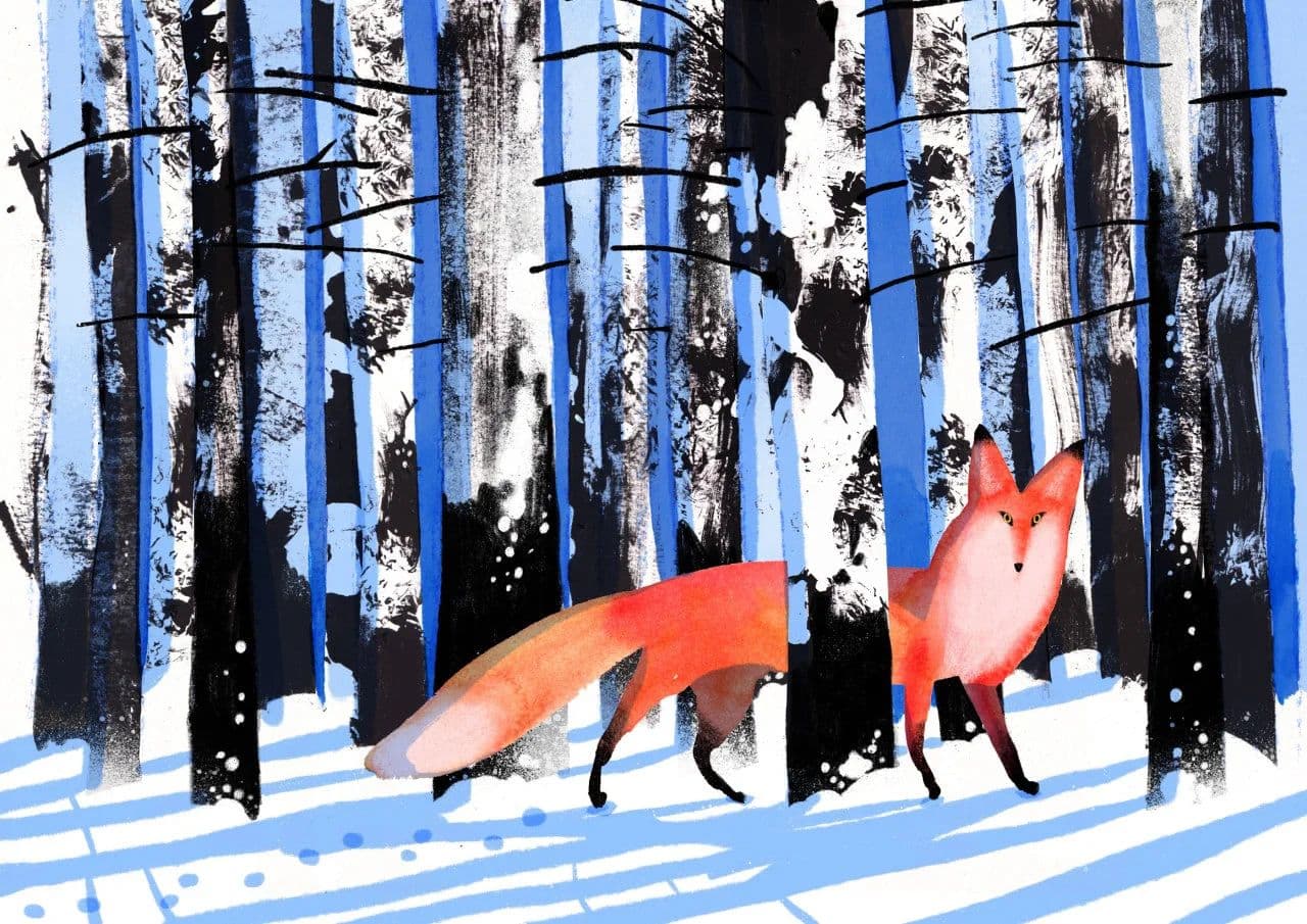 Fox